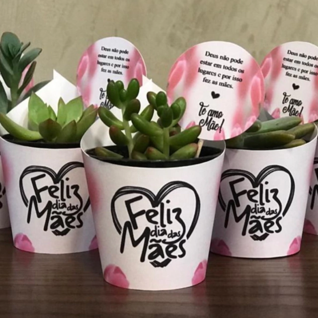 Lembrancinha Dia das Mães - Suculenta - Kit 30 unidades